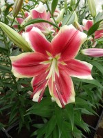 [4137 Flashpoint No102.JPG]